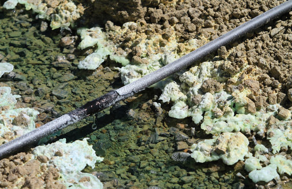 Leaching circuits are utilized to extract metals from ore through chemical dissolution.