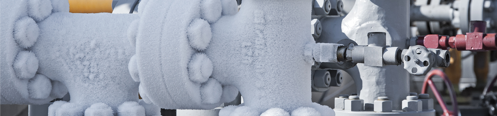 Learn About Our Expedited Delivery Options