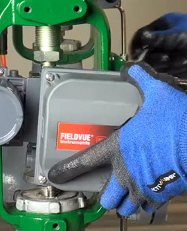 Training & Education